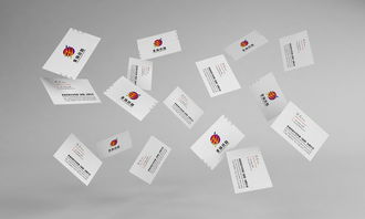 非扬丝路企业VI形象设计与品牌策划方案